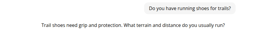 A saved conversation's read-only transcript in the dashboard, showing a shopper's question and the assistant's reply.