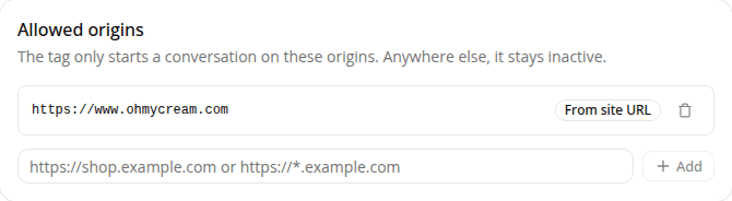 The Allowed origins card listing the site's storefront origin, marked From site URL, with an input to add more origins.